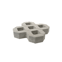 Grass Paver